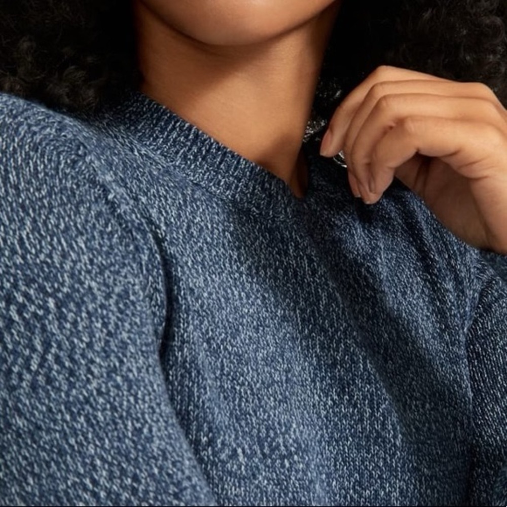 Everlane Blue Sweater